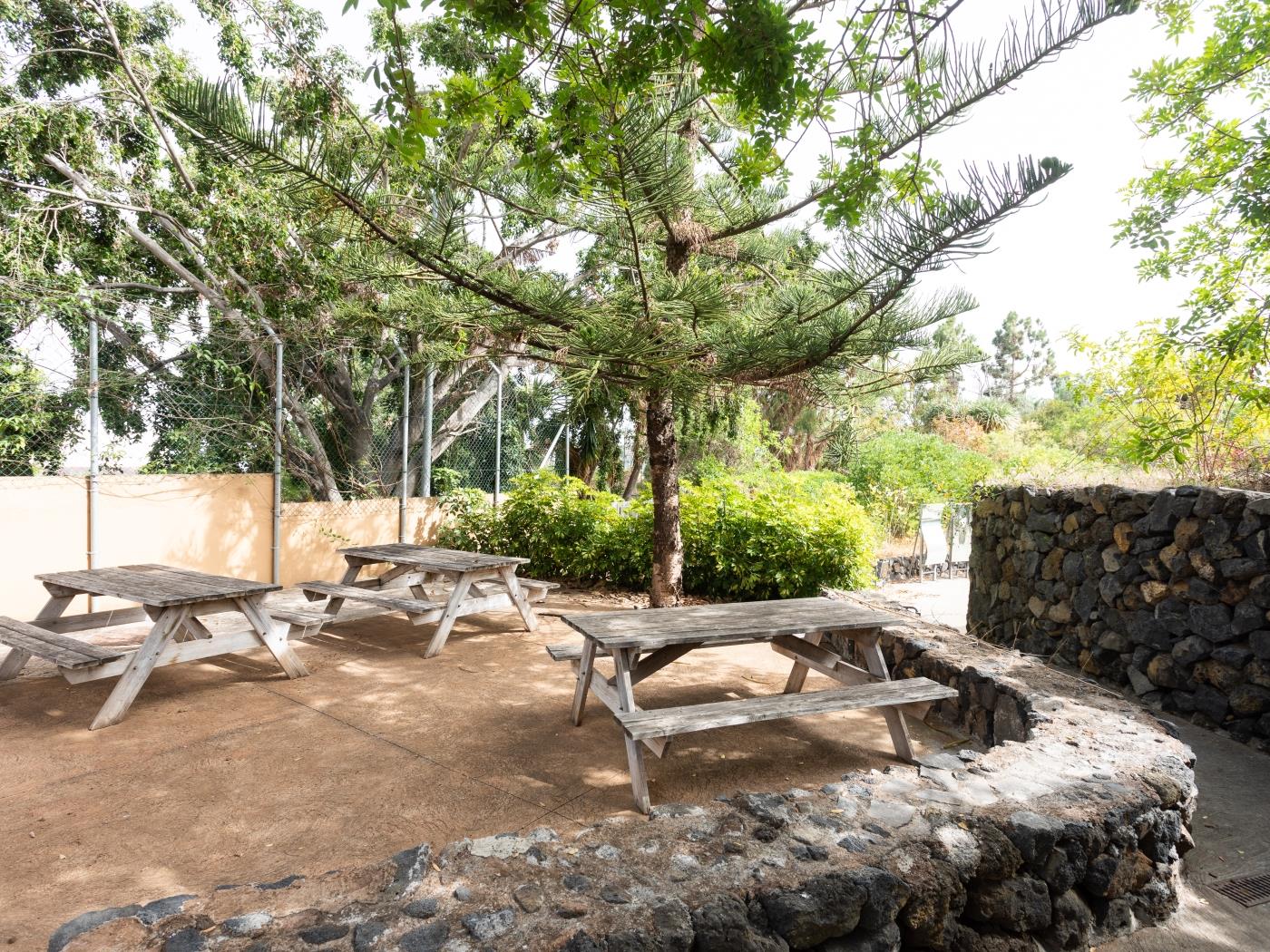 Tropical garden Holiday Home in La Orotava