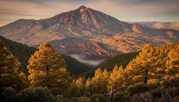 Otoño en Tenerife: compras, mar y clima perfecto